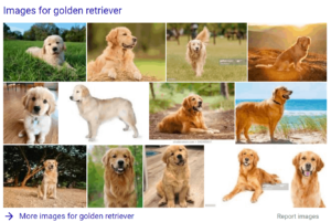 Image Listing Search Results