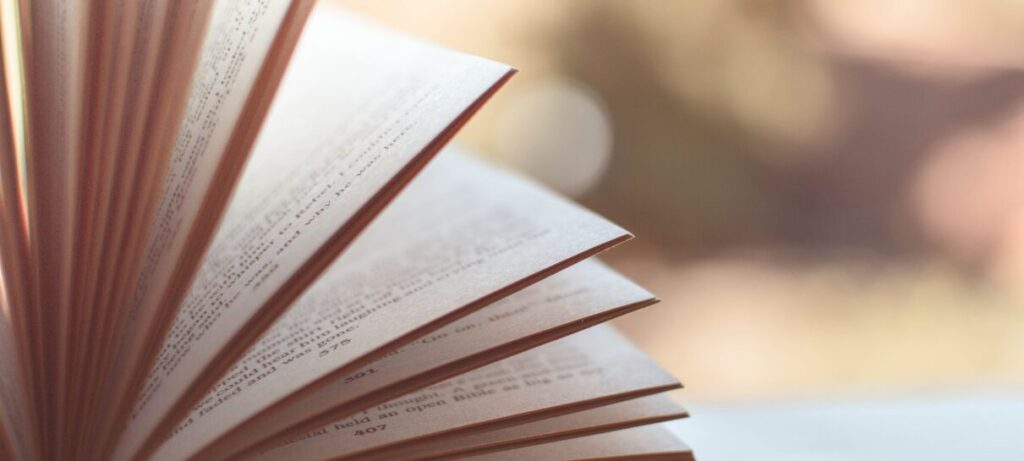 What Web Stories Are and Why You Should Be Using Them
