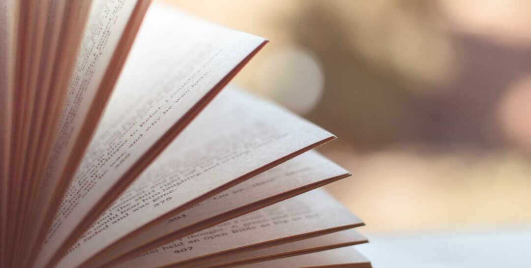 What Web Stories Are, Why You Should Be Using Them, And How