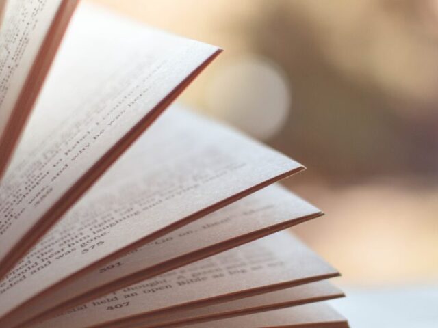 What Web Stories Are, Why You Should Be Using Them, And How