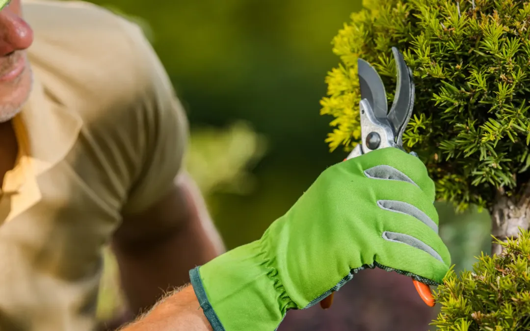 3 Reasons Landscapers Should Advertise On Pinterest
