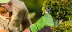 reasons why landscapers should advertise on pinterest blog cover