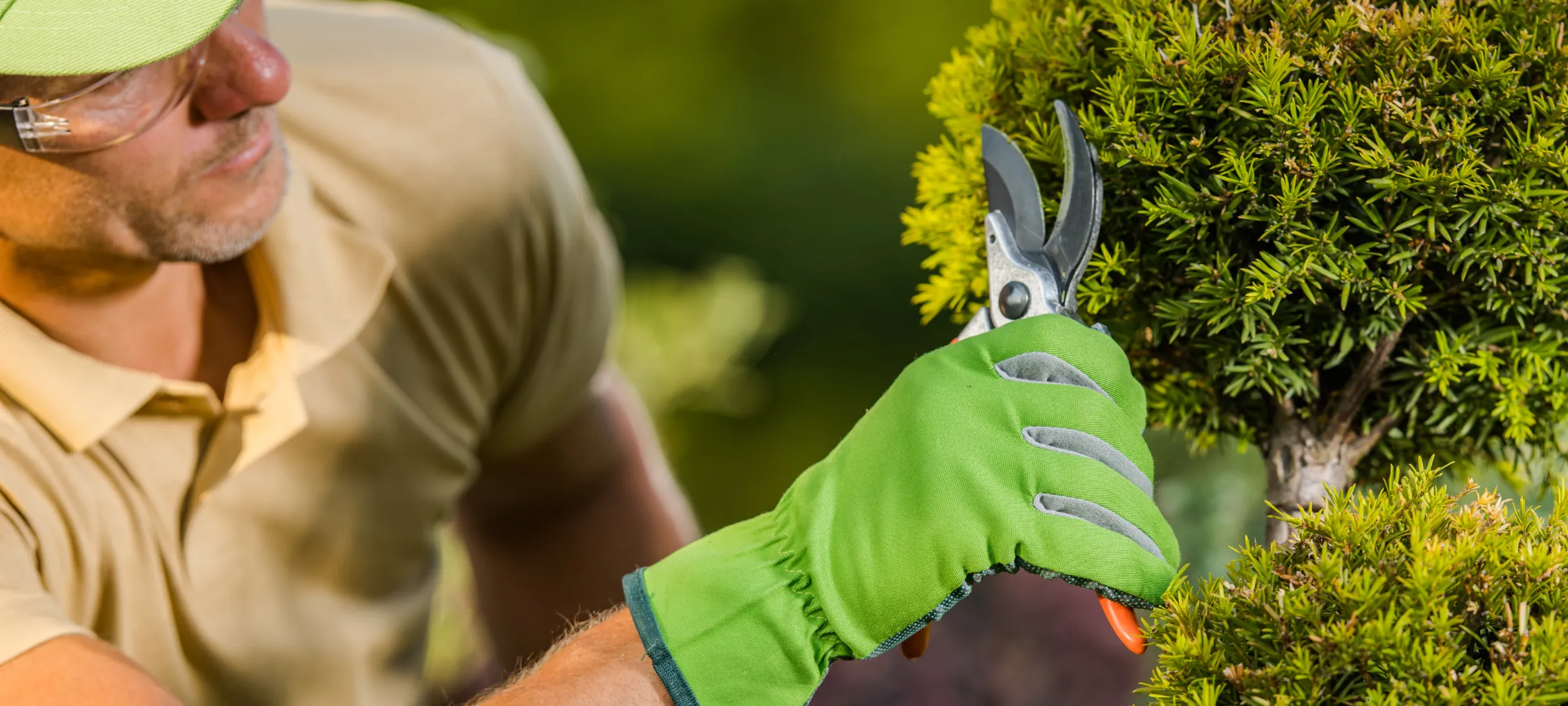reasons why landscapers should advertise on pinterest blog cover