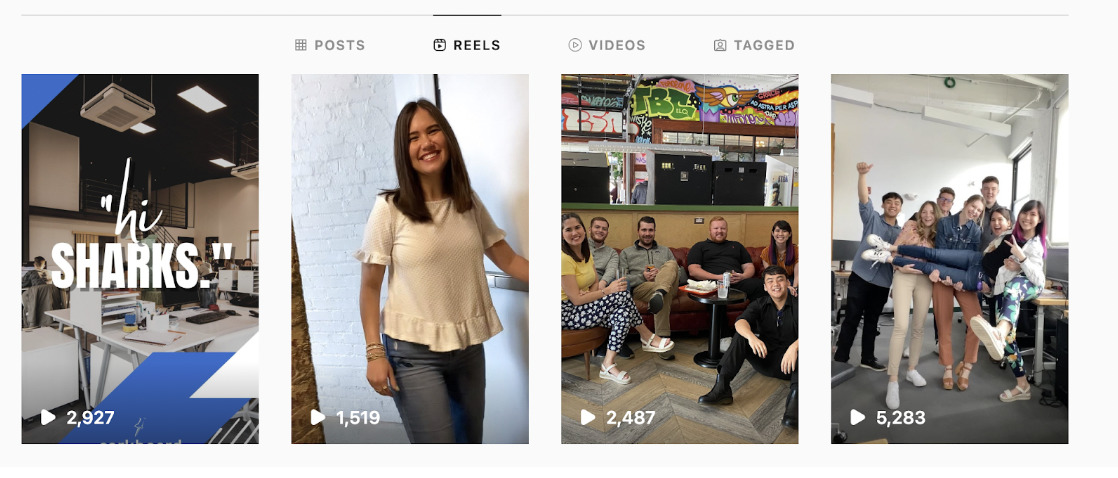 Instagram Video Formats- What are reels?