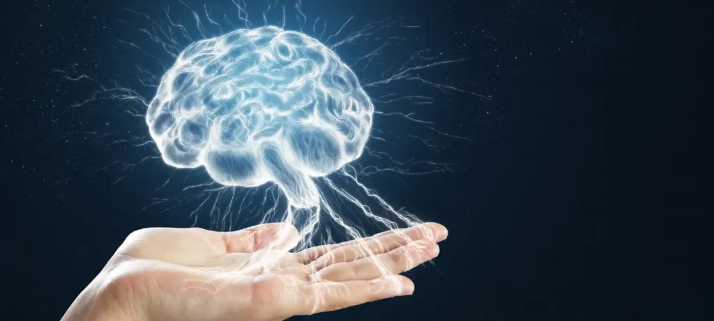 attention span in brain