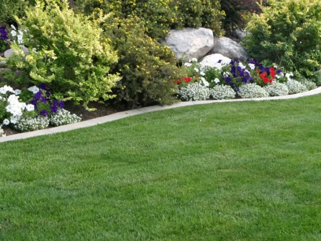 Google Local Service Ads for Landscapers: What You Need to Know