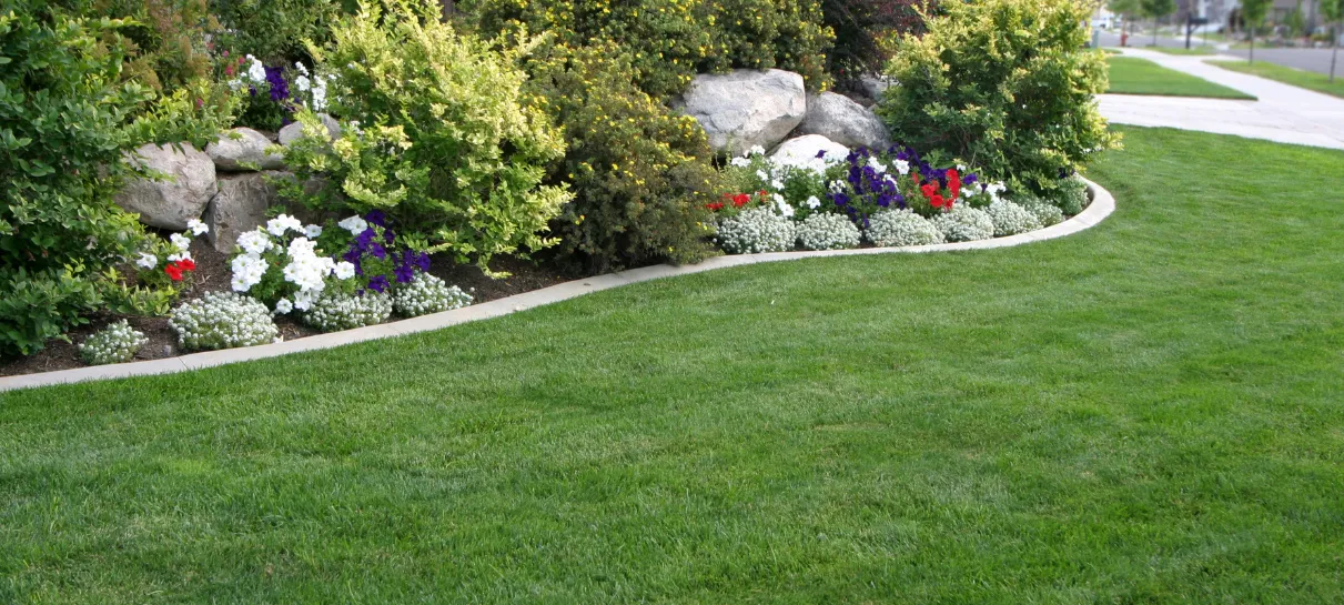Google Local Service Ads for Landscapers