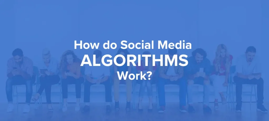 Social Media Algorithms