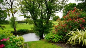 3 Reasons Landscapers Should Advertise on Pinterest cover