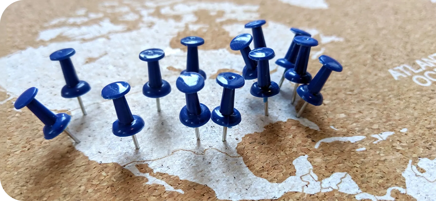 cork map with location pins